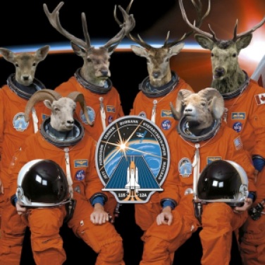 Crew of the Artemis