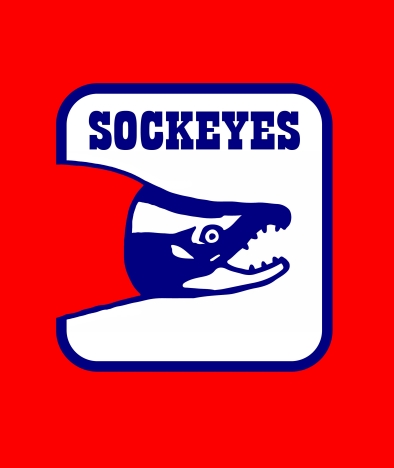 Ball hockey team logo